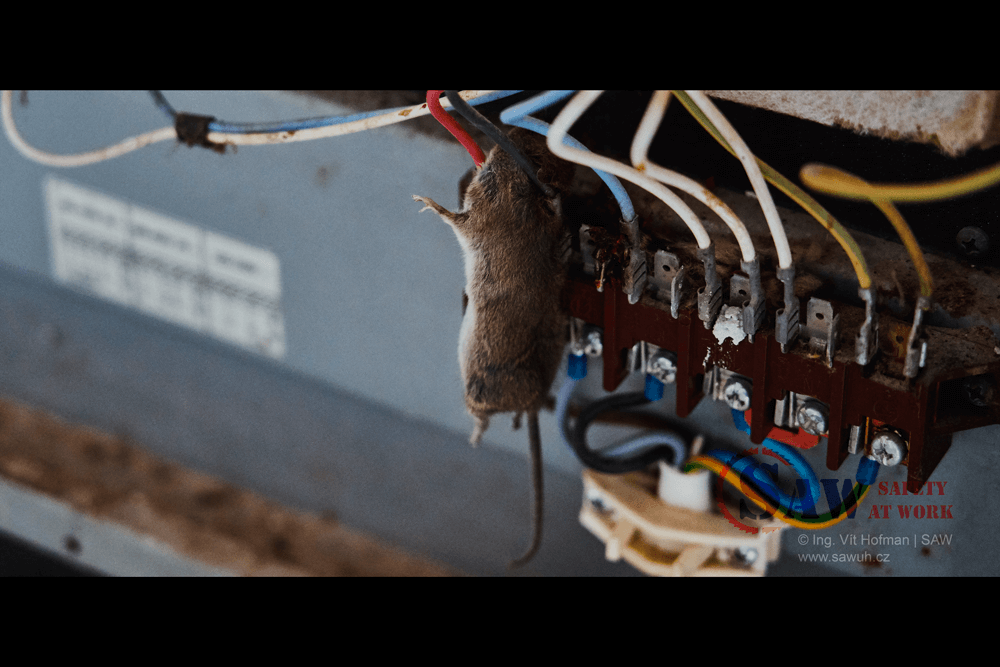 Myš deratizace elektrické zařízení