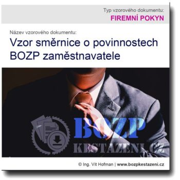 Vzor směrnice o povinnostech BOZP zaměstnavatele