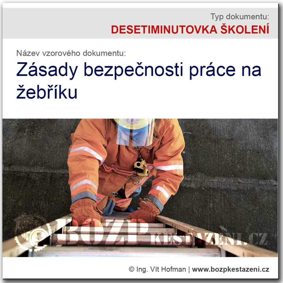 DESETIMINUTOVKA: Zásady bezpečnosti práce na žebříku